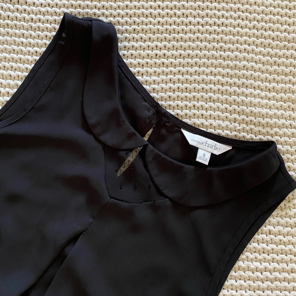 Charming Charlie Blouse with Swiss Dot Detail